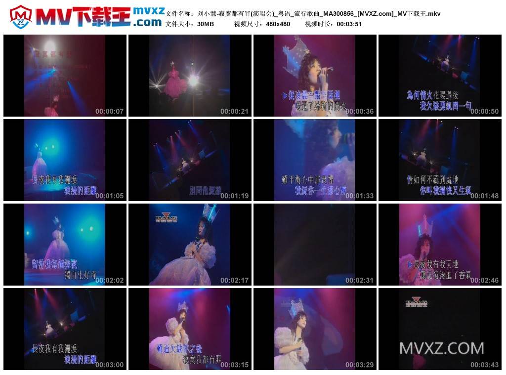 刘小慧-寂寞都有罪(演唱会)_粤语_流行歌曲_MA300856